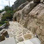 ناما فيلة