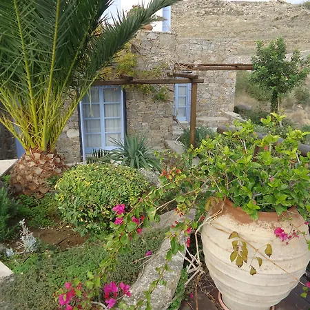 ناما فيلة